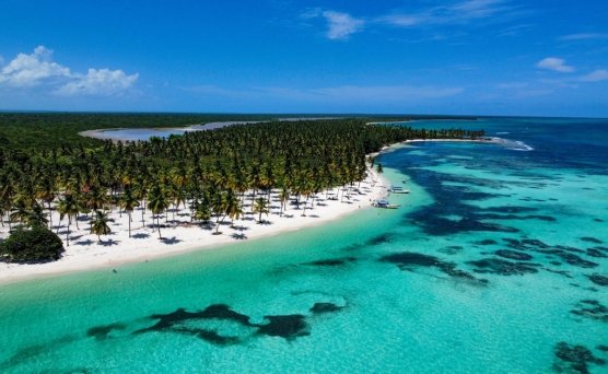 Isla Saona tours